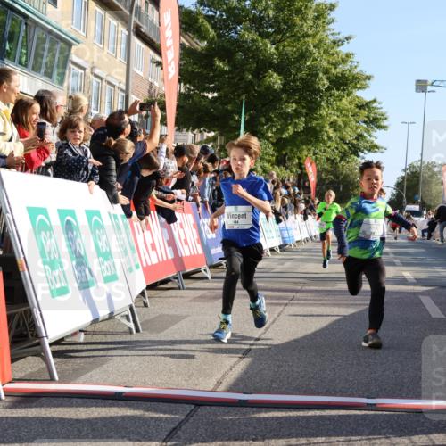 15.09.2024 - PSD Bank Halbmarathon Strokosch-Dieckow http://msf.ph/oto/7065265 15.09.2024 10:26:28 Ziel 9, 86, 88, 116, 144, 181, 200, 216, 242, 295 meine-sportfotos.de