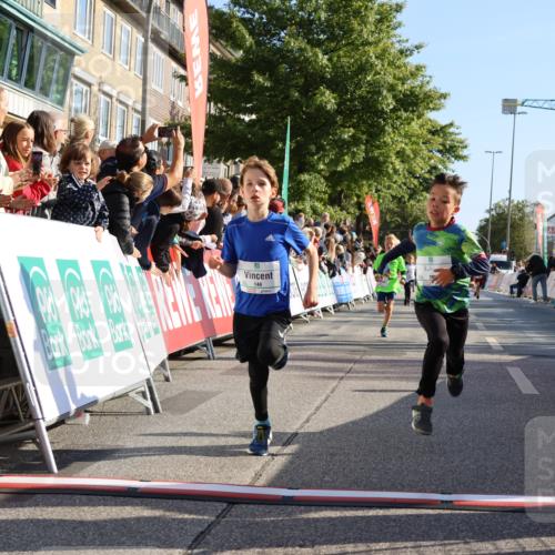 15.09.2024 - PSD Bank Halbmarathon Strokosch-Dieckow http://msf.ph/oto/7065305 15.09.2024 10:26:28 Ziel 9, 86, 88, 116, 144, 181, 200, 216, 242, 295 meine-sportfotos.de