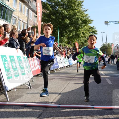 15.09.2024 - PSD Bank Halbmarathon Strokosch-Dieckow http://msf.ph/oto/7065347 15.09.2024 10:26:28 Ziel 9, 86, 88, 116, 144, 181, 200, 216, 242, 295 meine-sportfotos.de