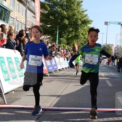 15.09.2024 - PSD Bank Halbmarathon Strokosch-Dieckow http://msf.ph/oto/7065390 15.09.2024 10:26:28 Ziel 9, 86, 88, 116, 144, 181, 200, 216, 242, 295 meine-sportfotos.de