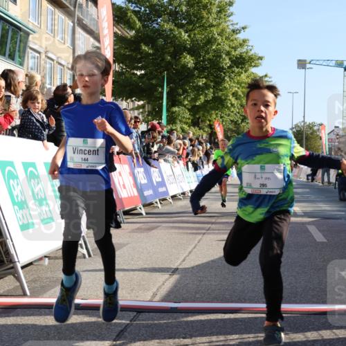 15.09.2024 - PSD Bank Halbmarathon Strokosch-Dieckow http://msf.ph/oto/7065406 15.09.2024 10:26:28 Ziel 9, 86, 88, 116, 144, 181, 200, 216, 242, 295 meine-sportfotos.de