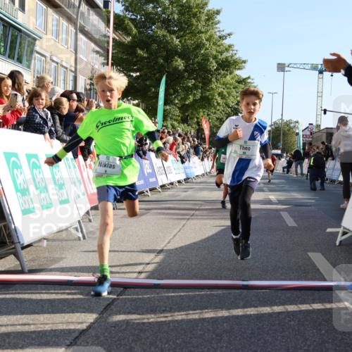 15.09.2024 - PSD Bank Halbmarathon Strokosch-Dieckow http://msf.ph/oto/7065420 15.09.2024 10:26:30 Ziel 9, 86, 88, 116, 118, 144, 181, 188, 200, 216, 242, 295 meine-sportfotos.de