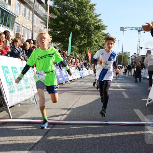 15.09.2024 - PSD Bank Halbmarathon Strokosch-Dieckow http://msf.ph/oto/7065435 15.09.2024 10:26:31 Ziel 9, 86, 88, 116, 118, 144, 181, 188, 200, 216, 242, 295 meine-sportfotos.de