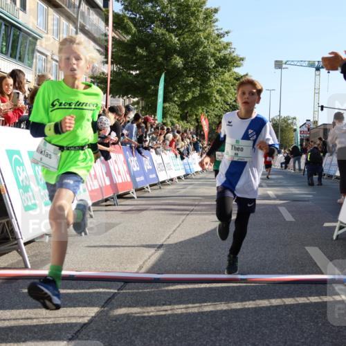 15.09.2024 - PSD Bank Halbmarathon Strokosch-Dieckow http://msf.ph/oto/7065478 15.09.2024 10:26:31 Ziel 9, 86, 88, 116, 118, 144, 181, 188, 200, 216, 242, 295 meine-sportfotos.de