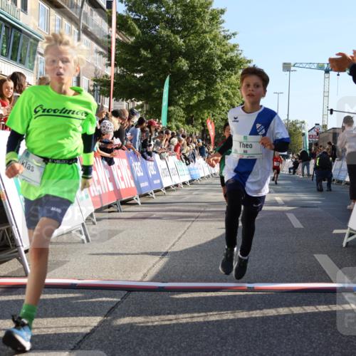 15.09.2024 - PSD Bank Halbmarathon Strokosch-Dieckow http://msf.ph/oto/7065492 15.09.2024 10:26:31 Ziel 9, 86, 88, 116, 118, 144, 181, 188, 200, 216, 242, 295 meine-sportfotos.de