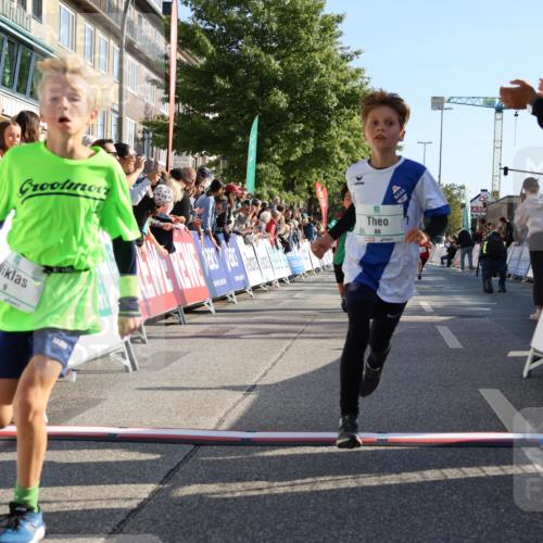 15.09.2024 - PSD Bank Halbmarathon Strokosch-Dieckow http://msf.ph/oto/7065512 15.09.2024 10:26:31 Ziel 9, 86, 88, 116, 118, 144, 181, 188, 200, 216, 242, 295 meine-sportfotos.de