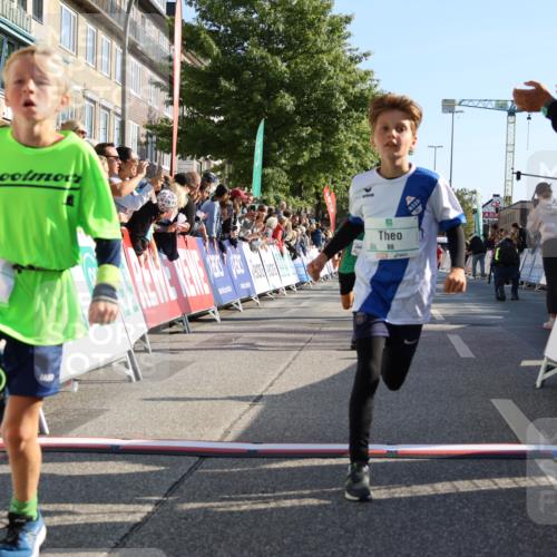 15.09.2024 - PSD Bank Halbmarathon Strokosch-Dieckow http://msf.ph/oto/7065526 15.09.2024 10:26:31 Ziel 9, 86, 88, 116, 118, 144, 181, 188, 200, 216, 242, 295 meine-sportfotos.de