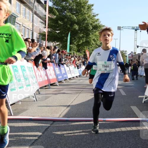 15.09.2024 - PSD Bank Halbmarathon Strokosch-Dieckow http://msf.ph/oto/7065539 15.09.2024 10:26:31 Ziel 9, 86, 88, 116, 118, 144, 181, 188, 200, 216, 242, 295 meine-sportfotos.de