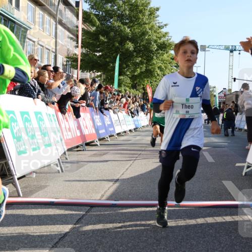15.09.2024 - PSD Bank Halbmarathon Strokosch-Dieckow http://msf.ph/oto/7065554 15.09.2024 10:26:31 Ziel 9, 86, 88, 116, 118, 144, 181, 188, 200, 216, 242, 295 meine-sportfotos.de