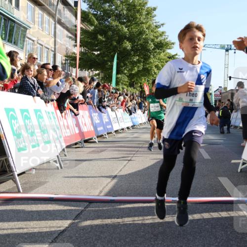 15.09.2024 - PSD Bank Halbmarathon Strokosch-Dieckow http://msf.ph/oto/7065566 15.09.2024 10:26:31 Ziel 9, 86, 88, 116, 118, 144, 181, 188, 200, 216, 242, 295 meine-sportfotos.de