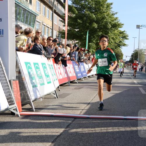 15.09.2024 - PSD Bank Halbmarathon Strokosch-Dieckow http://msf.ph/oto/7065578 15.09.2024 10:26:32 Ziel 9, 86, 88, 116, 118, 143, 144, 181, 188, 200, 216, 242, 251, 295 meine-sportfotos.de