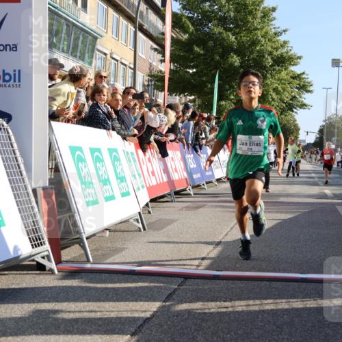15.09.2024 - PSD Bank Halbmarathon Strokosch-Dieckow http://msf.ph/oto/7065600 15.09.2024 10:26:32 Ziel 9, 86, 88, 116, 118, 143, 144, 181, 188, 200, 216, 242, 251, 295 meine-sportfotos.de