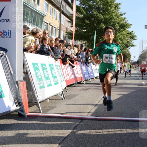 15.09.2024 - PSD Bank Halbmarathon Strokosch-Dieckow http://msf.ph/oto/7065613 15.09.2024 10:26:32 Ziel 9, 86, 88, 116, 118, 143, 144, 181, 188, 200, 216, 242, 251, 295 meine-sportfotos.de