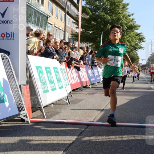 15.09.2024 - PSD Bank Halbmarathon Strokosch-Dieckow http://msf.ph/oto/7065624 15.09.2024 10:26:32 Ziel 9, 86, 88, 116, 118, 143, 144, 181, 188, 200, 216, 242, 251, 295 meine-sportfotos.de