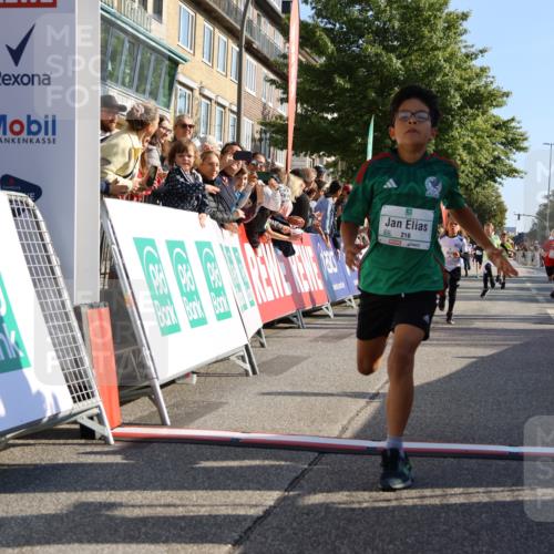 15.09.2024 - PSD Bank Halbmarathon Strokosch-Dieckow http://msf.ph/oto/7065636 15.09.2024 10:26:32 Ziel 9, 86, 88, 116, 118, 143, 144, 181, 188, 200, 216, 242, 251, 295 meine-sportfotos.de