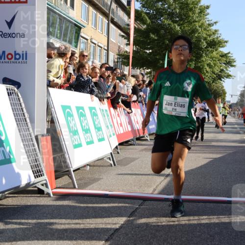 15.09.2024 - PSD Bank Halbmarathon Strokosch-Dieckow http://msf.ph/oto/7065648 15.09.2024 10:26:32 Ziel 9, 86, 88, 116, 118, 143, 144, 181, 188, 200, 216, 242, 251, 295 meine-sportfotos.de