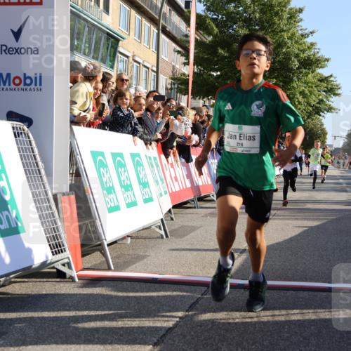 15.09.2024 - PSD Bank Halbmarathon Strokosch-Dieckow http://msf.ph/oto/7065662 15.09.2024 10:26:32 Ziel 9, 86, 88, 116, 118, 143, 144, 181, 188, 200, 216, 242, 251, 295 meine-sportfotos.de