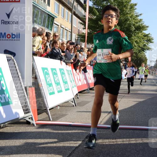 15.09.2024 - PSD Bank Halbmarathon Strokosch-Dieckow http://msf.ph/oto/7065672 15.09.2024 10:26:32 Ziel 9, 86, 88, 116, 118, 143, 144, 181, 188, 200, 216, 242, 251, 295 meine-sportfotos.de