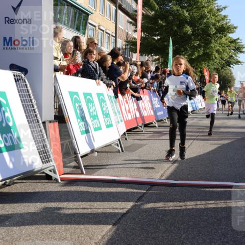 15.09.2024 - PSD Bank Halbmarathon Strokosch-Dieckow http://msf.ph/oto/7065684 15.09.2024 10:26:34 Ziel 9, 86, 88, 116, 118, 143, 144, 181, 188, 200, 216, 242, 251, 295 meine-sportfotos.de