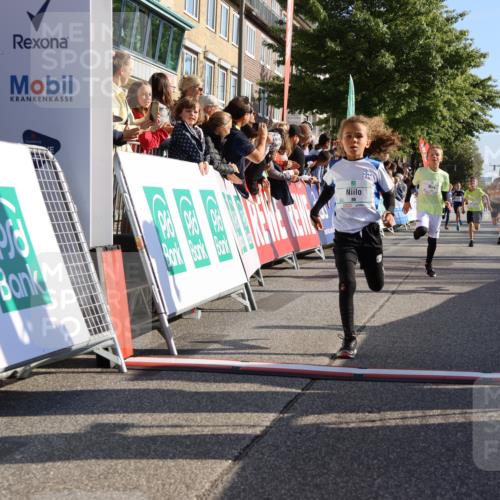 15.09.2024 - PSD Bank Halbmarathon Strokosch-Dieckow http://msf.ph/oto/7065708 15.09.2024 10:26:34 Ziel 9, 86, 88, 116, 118, 143, 144, 181, 188, 200, 216, 242, 251, 295 meine-sportfotos.de