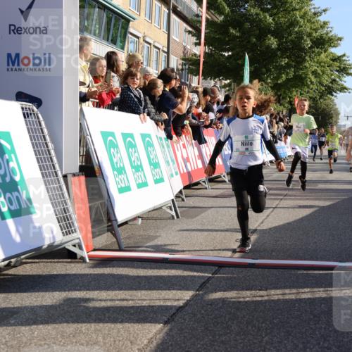 15.09.2024 - PSD Bank Halbmarathon Strokosch-Dieckow http://msf.ph/oto/7065722 15.09.2024 10:26:34 Ziel 9, 86, 88, 116, 118, 143, 144, 181, 188, 200, 216, 242, 251, 295 meine-sportfotos.de