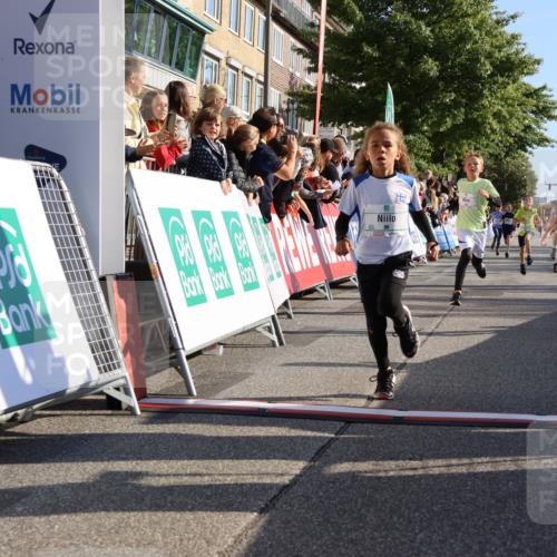 15.09.2024 - PSD Bank Halbmarathon Strokosch-Dieckow http://msf.ph/oto/7065736 15.09.2024 10:26:34 Ziel 9, 86, 88, 116, 118, 143, 144, 181, 188, 200, 216, 242, 251, 295 meine-sportfotos.de