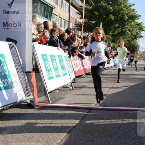 15.09.2024 - PSD Bank Halbmarathon Strokosch-Dieckow http://msf.ph/oto/7065751 15.09.2024 10:26:34 Ziel 9, 86, 88, 116, 118, 143, 144, 181, 188, 200, 216, 242, 251, 295 meine-sportfotos.de