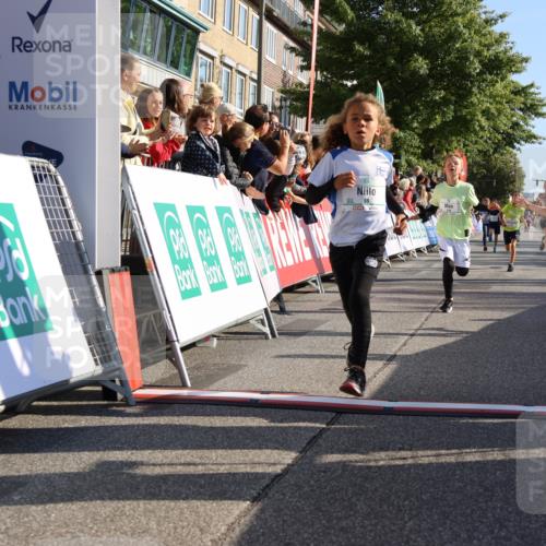 15.09.2024 - PSD Bank Halbmarathon Strokosch-Dieckow http://msf.ph/oto/7065762 15.09.2024 10:26:35 Ziel 9, 86, 88, 116, 118, 143, 144, 181, 188, 200, 216, 242, 251, 295 meine-sportfotos.de