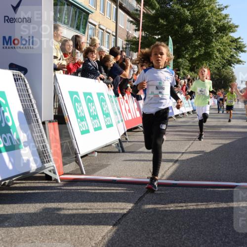 15.09.2024 - PSD Bank Halbmarathon Strokosch-Dieckow http://msf.ph/oto/7065776 15.09.2024 10:26:35 Ziel 9, 86, 88, 116, 118, 143, 144, 181, 188, 200, 216, 242, 251, 295 meine-sportfotos.de