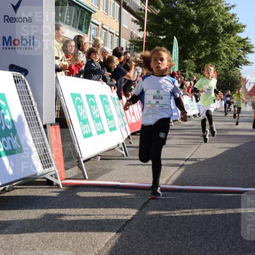 15.09.2024 - PSD Bank Halbmarathon Strokosch-Dieckow http://msf.ph/oto/7065790 15.09.2024 10:26:35 Ziel 9, 86, 88, 116, 118, 143, 144, 181, 188, 200, 216, 242, 251, 295 meine-sportfotos.de