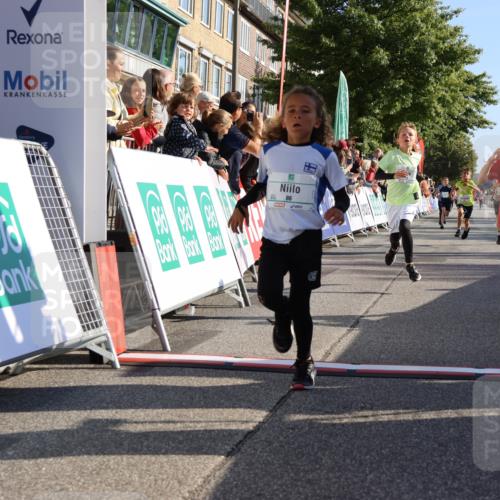 15.09.2024 - PSD Bank Halbmarathon Strokosch-Dieckow http://msf.ph/oto/7065803 15.09.2024 10:26:35 Ziel 9, 86, 88, 116, 118, 143, 144, 181, 188, 200, 216, 242, 251, 295 meine-sportfotos.de