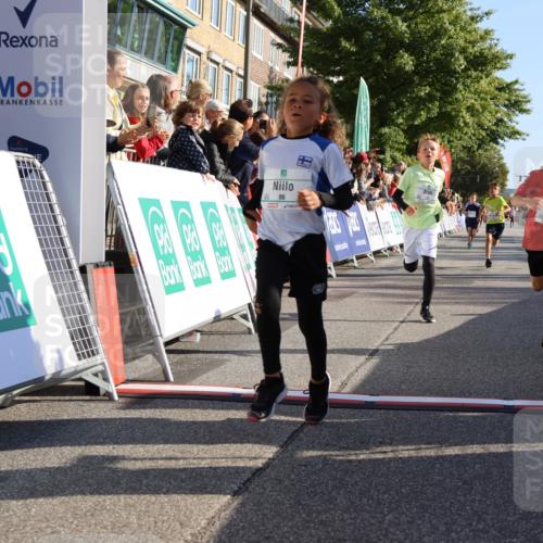 15.09.2024 - PSD Bank Halbmarathon Strokosch-Dieckow http://msf.ph/oto/7065816 15.09.2024 10:26:35 Ziel 9, 86, 88, 116, 118, 143, 144, 181, 188, 200, 216, 242, 251, 295 meine-sportfotos.de