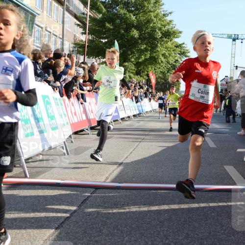 15.09.2024 - PSD Bank Halbmarathon Strokosch-Dieckow http://msf.ph/oto/7065826 15.09.2024 10:26:35 Ziel 9, 86, 88, 116, 118, 143, 144, 181, 188, 200, 216, 242, 251, 295 meine-sportfotos.de