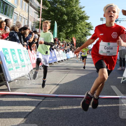 15.09.2024 - PSD Bank Halbmarathon Strokosch-Dieckow http://msf.ph/oto/7065878 15.09.2024 10:26:36 Ziel 9, 86, 88, 116, 118, 143, 144, 181, 188, 200, 216, 242, 251, 295 meine-sportfotos.de