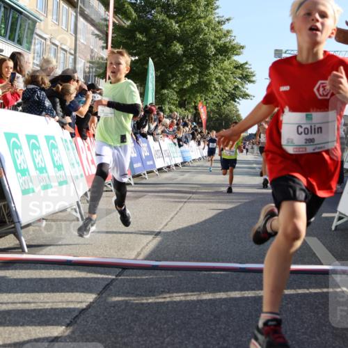 15.09.2024 - PSD Bank Halbmarathon Strokosch-Dieckow http://msf.ph/oto/7065893 15.09.2024 10:26:36 Ziel 9, 86, 88, 116, 118, 143, 144, 181, 188, 200, 216, 242, 251, 295 meine-sportfotos.de