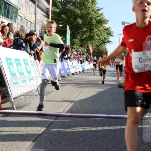 15.09.2024 - PSD Bank Halbmarathon Strokosch-Dieckow http://msf.ph/oto/7065904 15.09.2024 10:26:36 Ziel 9, 86, 88, 116, 118, 143, 144, 181, 188, 200, 216, 242, 251, 295 meine-sportfotos.de