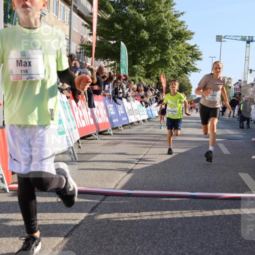 15.09.2024 - PSD Bank Halbmarathon Strokosch-Dieckow http://msf.ph/oto/7065935 15.09.2024 10:26:37 Ziel 9, 86, 88, 116, 118, 143, 144, 181, 188, 200, 216, 251, 295 meine-sportfotos.de
