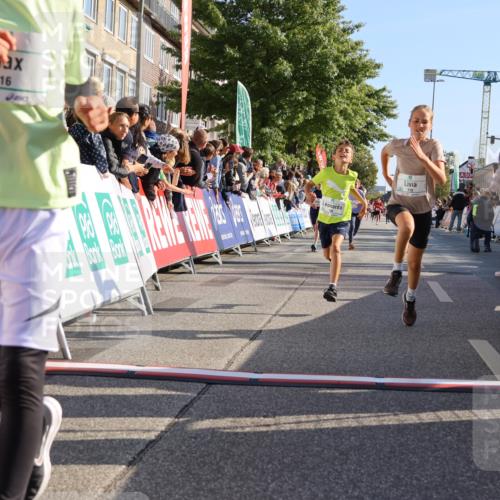 15.09.2024 - PSD Bank Halbmarathon Strokosch-Dieckow http://msf.ph/oto/7065981 15.09.2024 10:26:37 Ziel 9, 86, 88, 116, 118, 143, 144, 181, 188, 200, 216, 251, 295 meine-sportfotos.de