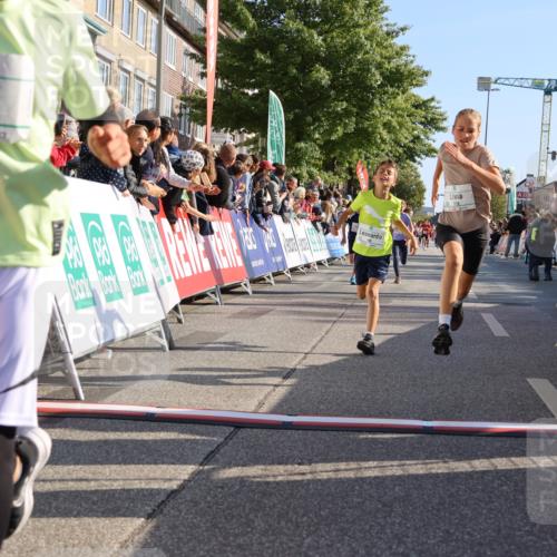 15.09.2024 - PSD Bank Halbmarathon Strokosch-Dieckow http://msf.ph/oto/7065999 15.09.2024 10:26:37 Ziel 9, 86, 88, 116, 118, 143, 144, 181, 188, 200, 216, 251, 295 meine-sportfotos.de
