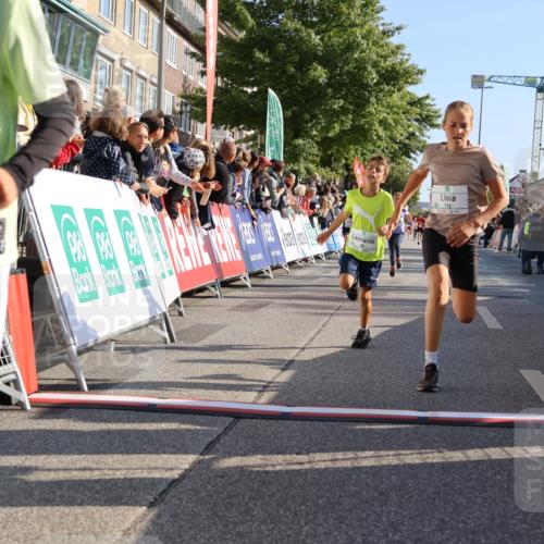 15.09.2024 - PSD Bank Halbmarathon Strokosch-Dieckow http://msf.ph/oto/7066031 15.09.2024 10:26:37 Ziel 9, 86, 88, 116, 118, 143, 144, 181, 188, 200, 216, 251, 295 meine-sportfotos.de