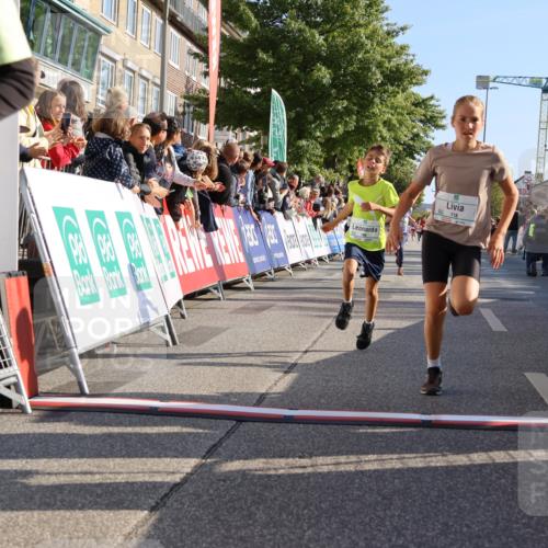 15.09.2024 - PSD Bank Halbmarathon Strokosch-Dieckow http://msf.ph/oto/7066045 15.09.2024 10:26:37 Ziel 9, 86, 88, 116, 118, 143, 144, 181, 188, 200, 216, 251, 295 meine-sportfotos.de