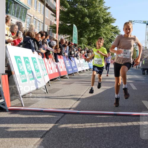 15.09.2024 - PSD Bank Halbmarathon Strokosch-Dieckow http://msf.ph/oto/7066061 15.09.2024 10:26:37 Ziel 9, 86, 88, 116, 118, 143, 144, 181, 188, 200, 216, 251, 295 meine-sportfotos.de