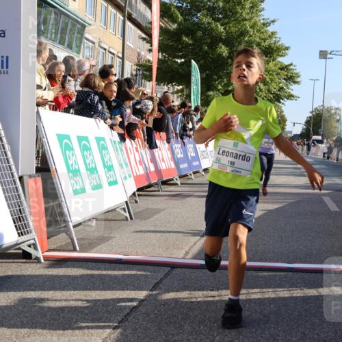 15.09.2024 - PSD Bank Halbmarathon Strokosch-Dieckow http://msf.ph/oto/7066147 15.09.2024 10:26:38 Ziel 9, 86, 88, 116, 118, 143, 144, 181, 188, 200, 216, 251, 295 meine-sportfotos.de