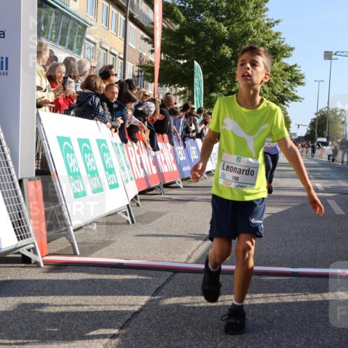 15.09.2024 - PSD Bank Halbmarathon Strokosch-Dieckow http://msf.ph/oto/7066161 15.09.2024 10:26:39 Ziel 9, 86, 88, 116, 118, 143, 144, 188, 200, 216, 251, 295 meine-sportfotos.de