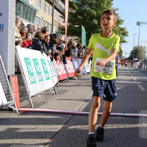 15.09.2024 - PSD Bank Halbmarathon Strokosch-Dieckow http://msf.ph/oto/7066184 15.09.2024 10:26:39 Ziel 9, 86, 88, 116, 118, 143, 144, 188, 200, 216, 251, 295 meine-sportfotos.de