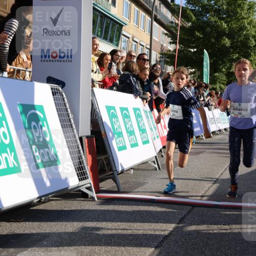 15.09.2024 - PSD Bank Halbmarathon Strokosch-Dieckow http://msf.ph/oto/7066218 15.09.2024 10:26:40 Ziel 9, 86, 88, 116, 118, 143, 188, 200, 209, 216, 251, 295 meine-sportfotos.de