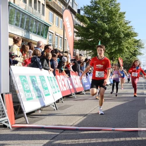 15.09.2024 - PSD Bank Halbmarathon Strokosch-Dieckow http://msf.ph/oto/7066298 15.09.2024 10:26:48 Ziel 118, 134, 143, 173, 188, 196, 209, 212, 229, 237, 251, 307 meine-sportfotos.de