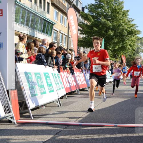 15.09.2024 - PSD Bank Halbmarathon Strokosch-Dieckow http://msf.ph/oto/7066326 15.09.2024 10:26:48 Ziel 118, 134, 143, 173, 188, 196, 209, 212, 229, 237, 251, 307 meine-sportfotos.de