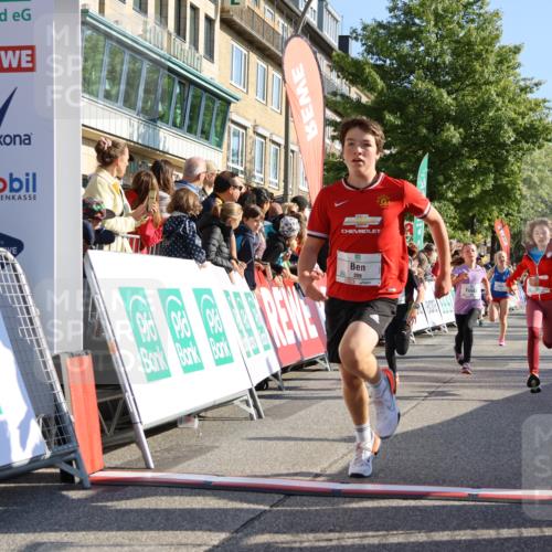 15.09.2024 - PSD Bank Halbmarathon Strokosch-Dieckow http://msf.ph/oto/7066366 15.09.2024 10:26:48 Ziel 118, 134, 143, 173, 188, 196, 209, 212, 229, 237, 251, 307 meine-sportfotos.de