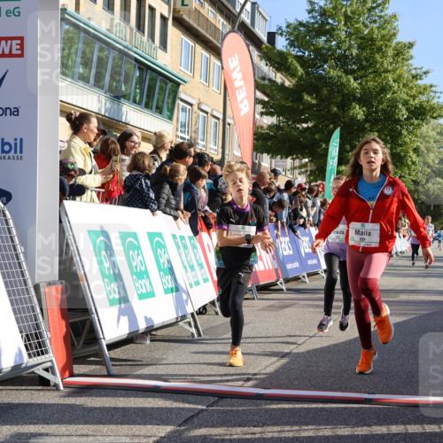 15.09.2024 - PSD Bank Halbmarathon Strokosch-Dieckow http://msf.ph/oto/7066431 15.09.2024 10:26:49 Ziel 118, 134, 143, 173, 188, 196, 209, 212, 229, 237, 251, 307 meine-sportfotos.de